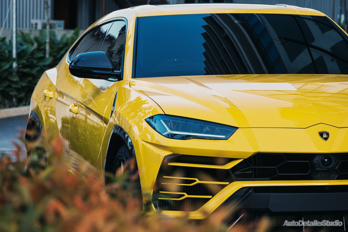autodetailer's tweet photo. Finished shots of a client’s Lamborghini Urus after undergoing our Signature Detailing program and a custom installation of ClearGuard Alpha™ PPF!
#Lambo #Urus #Lamborghini #LamborghiniUrus #GialloAuge #HighYellow #AutoDetailerStudio https://t.co/l2J66K6qkx