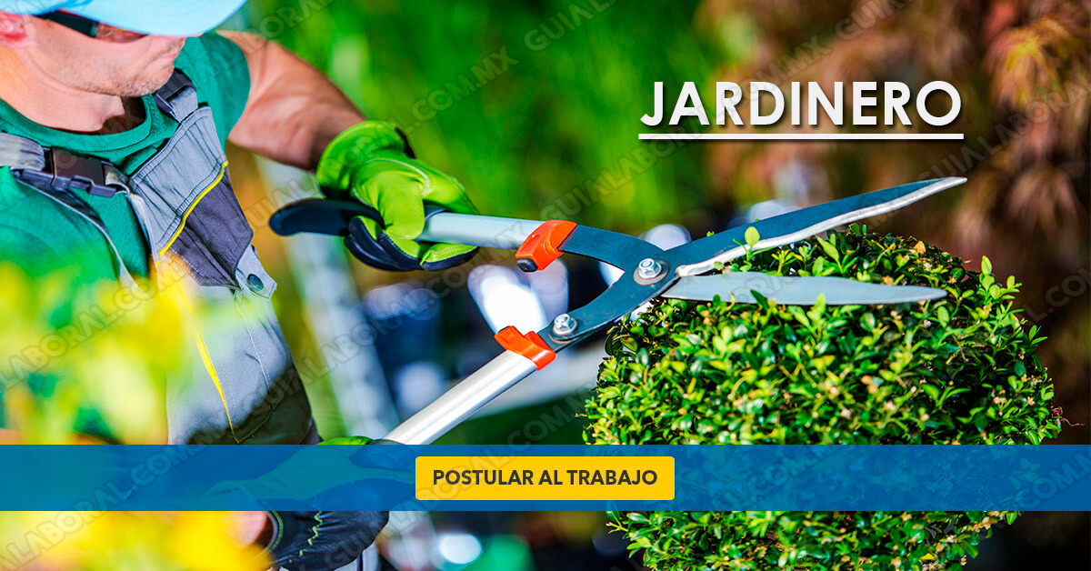 GuiaLaboral's tweet photo. 📌BOLSA DE TRABAJO | Vacante Jardinero

Interesados comunicarse al: 322 728 3030 y/o Envía tu CV al correo recursoshumanos@exclusivosdelabahia.com o da CLIC en el enlace 👉 https://t.co/jAGARSxYN0 y Postulate al Trabajo https://t.co/OT4lq5cQyn