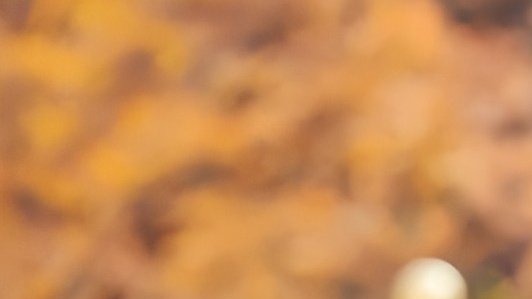 JJHLOOKS's tweet image. 