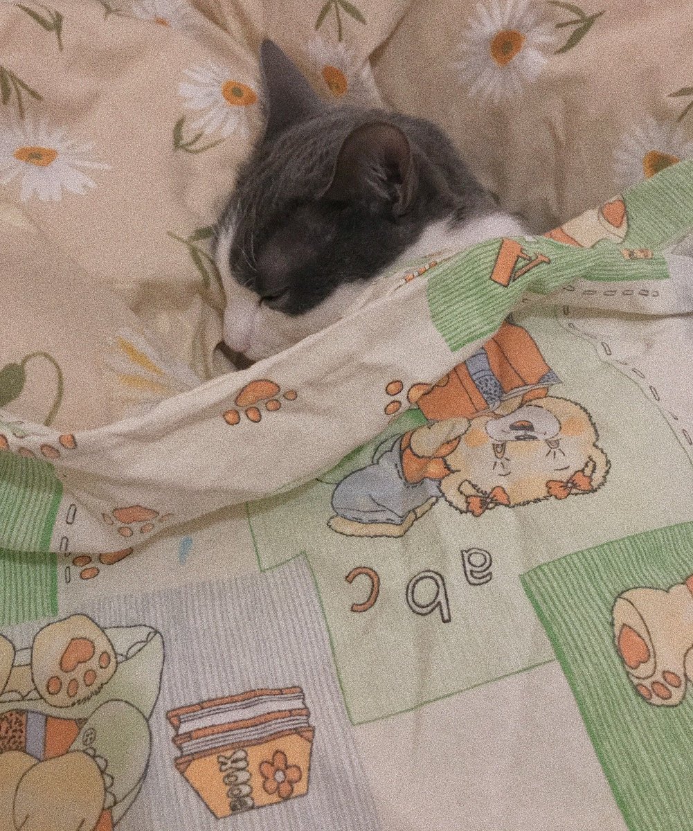 BABYMILKIE tweet picture