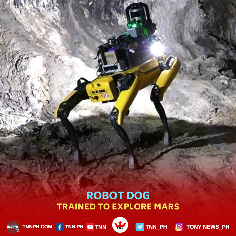 TNN_PH's tweet photo. During the December 2020 meeting of the American Geophysical Union, researchers with NASA/JPL-Caltech presented "Mars Dogs," or autonomous, four-legged robots trained to navigate Mars in a way that their predecessor rovers never could. https://t.co/fq4VH6mh6d