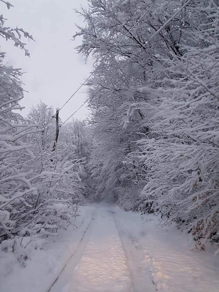 RadisaNikolic1's tweet photo. Zima u Homolju #Homolje #Srbija #Vinter2021 https://t.co/XWdpWHmEKc