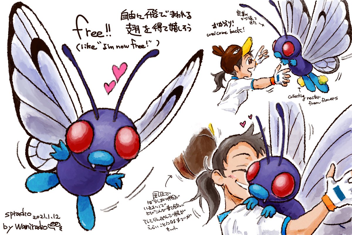 Spradio Commission Open ポケモンと生活 Pokemongo バタフリー Pokemonlife Butterfree 1日に1匹のポケモンを描くチャレンジ 12日目はちょうちょだけど 蜜も集めるバタフリー Spradio Commission Open ポケモンと生活 Pokemongo バタフリー Pokemonlife Butterfree 1日に1匹のポケモンを描くチャレンジ 12日目はちょうちょだけど 蜜も集めるバタフリー