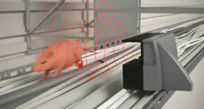 JussiTuomi's tweet image. Jos #tuholaistorjunta kiinnostaa niin merkkaa itsesi tai tuttusi... paikat.te-palvelut.fi/tpt/10577369?s…
#anticimex