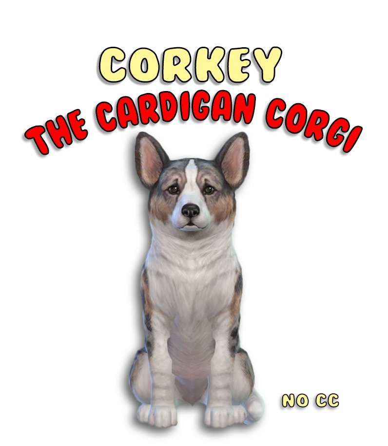 PugownedS's tweet photo. Corkey the Cardigan Welsh Corgi is awaiting adventures and belly rubs on #TheSims4Gallery #ShowUsYourSims #TheSims4 #SimsPets https://t.co/vtUKS1mHNx