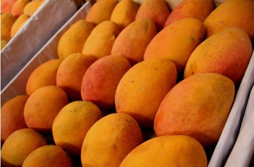 RT @asiafruit: Peru targets Korean consumers with mangoes https://t.co/8VNGvf9XJV https://t.co/70R5BWs9X3