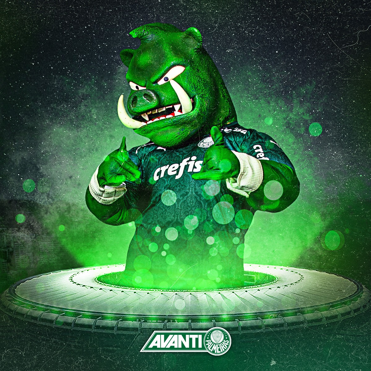 Avanti Palmeiras tweet media