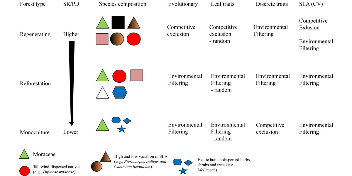 ESAApplications's tweet photo. Now online in @ESAApplications:

Seedling diversity in actively and passively restored tropical forest understories

With #opendata in UQ's eSpace

#tropicalforests #restoration #communityassembly #intraspecificvariation

https://t.co/W887UccuxR https://t.co/j9MD1EEjH3