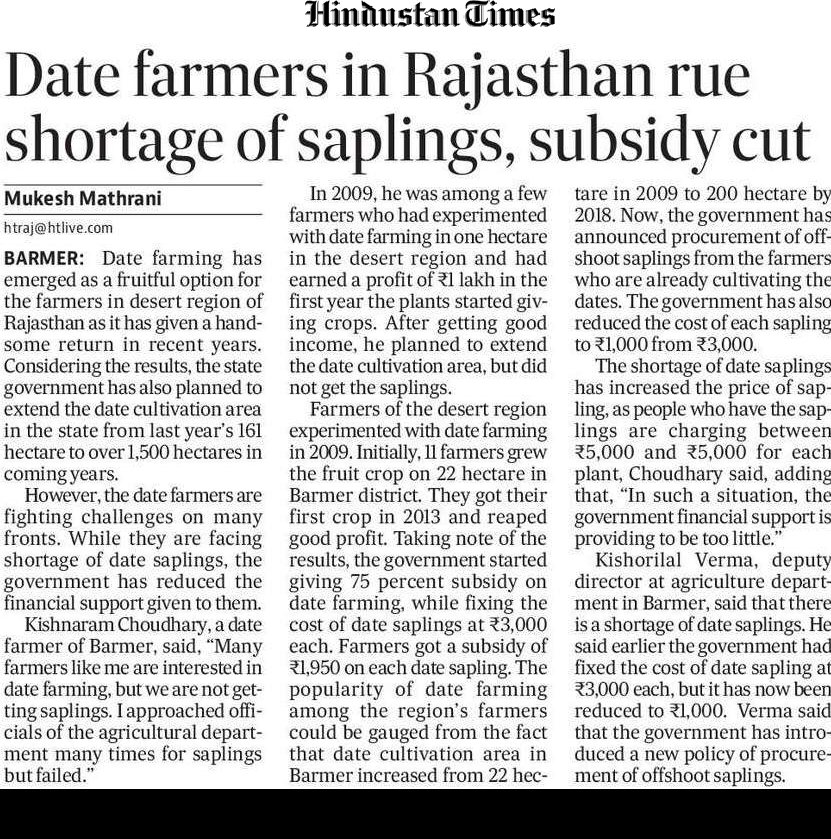 mukeshmathrani's tweet photo. Date farmers in #Rajasthan rue shortage of saplings, subsidy cut @htTweets @sachinsaini14 @Barmer_Harish @BeingJAT @MallaniKop @KailashBaytu @ashokgehlot51 @swetadutta27 https://t.co/38usaJhVmU
