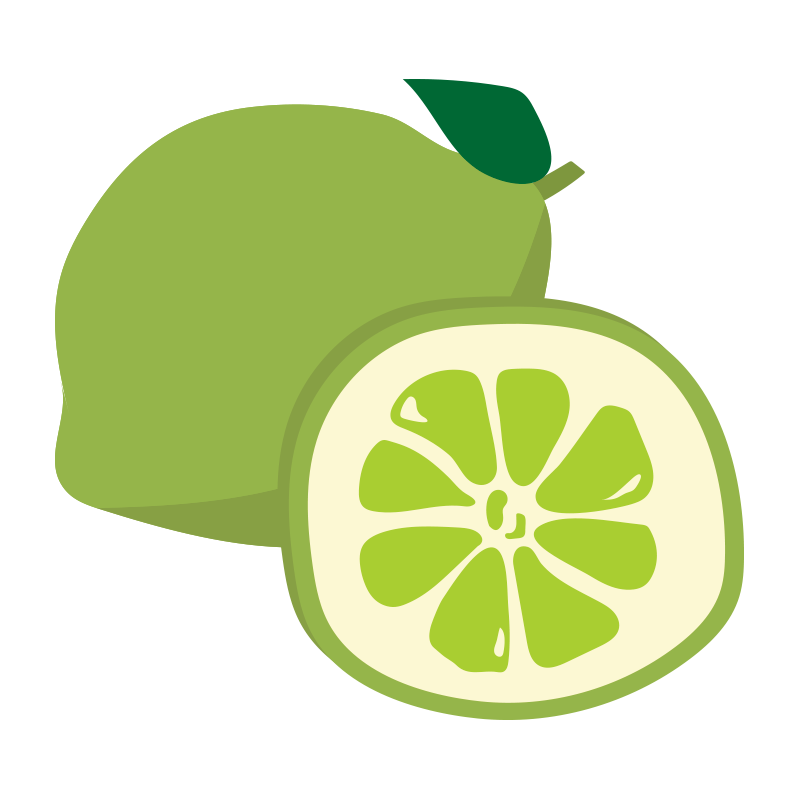 てがきっず 新しいイラストを公開しました タイトル 輪切りのライムとまるごとライム てがきっず 可愛い手描きイラスト 保育園 小学校 Pta向けのフリー素材 T Co 6ozcfsknx3 Img