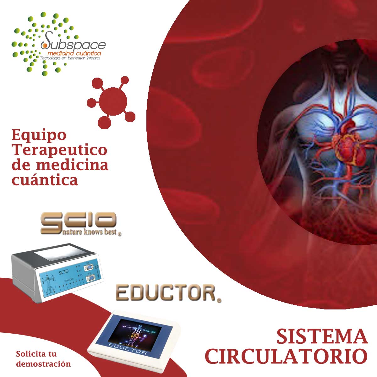 Scio_Quantum's tweet photo. Terapia para ayudar tu #sistema circulatorio. Conoce la nueva generación #SCIO y #EDUCTOR, los sistemas de #MedicinaCuántica #QUEXS y #QUEXED y aplica #quantumbalance solicita información: https://t.co/R5DenNpAC4
https://t.co/RwdCdt6OWS https://t.co/NwpGg7aSH8