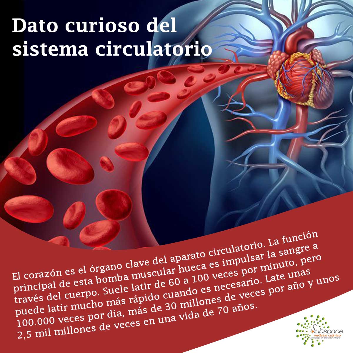 Scio_Quantum's tweet photo. Terapia para ayudar tu #sistema circulatorio. Conoce la nueva generación #SCIO y #EDUCTOR, los sistemas de #MedicinaCuántica #QUEXS y #QUEXED y aplica #quantumbalance solicita información: https://t.co/R5DenNpAC4
https://t.co/RwdCdt6OWS https://t.co/s3L0Mwjzrs