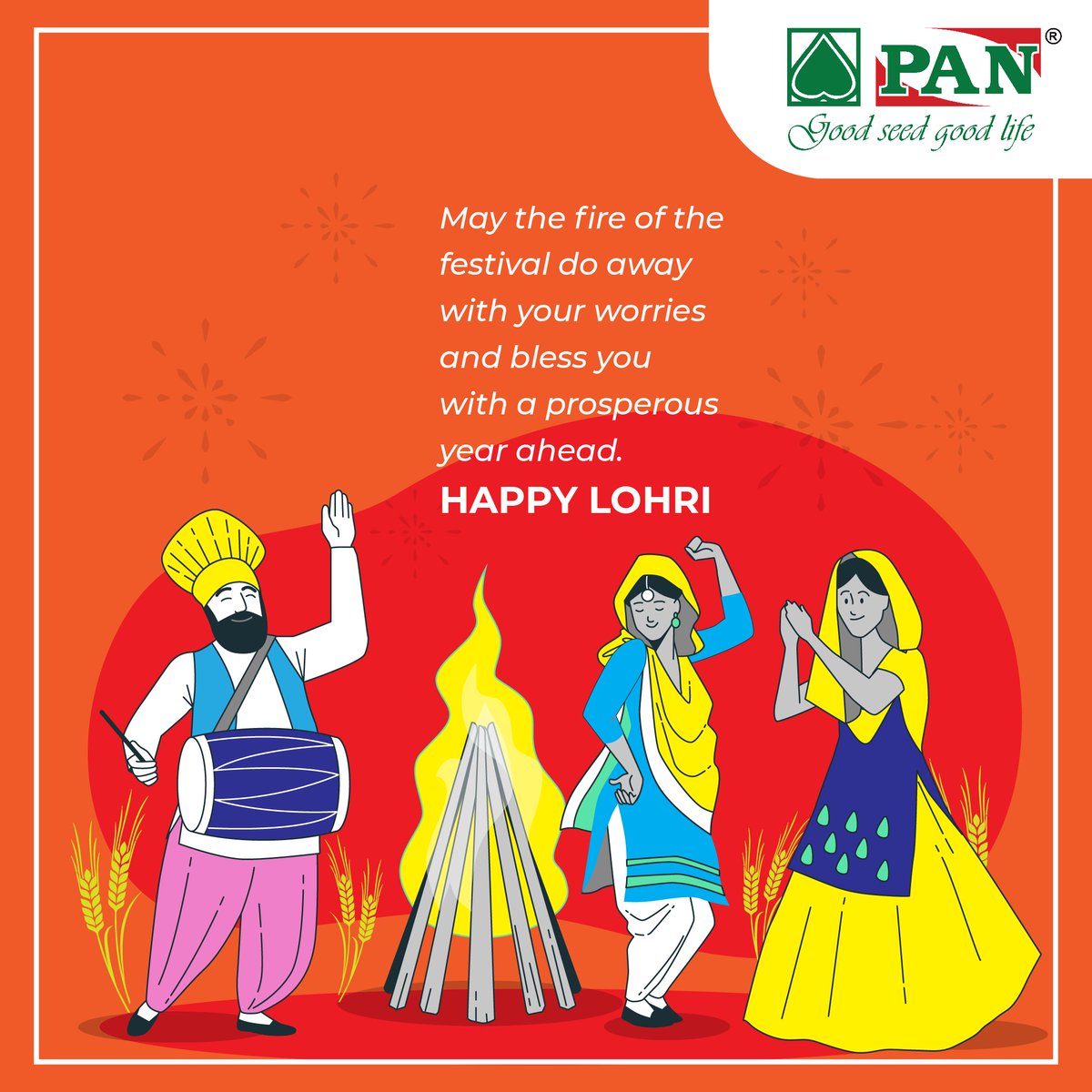 pan_seeds's tweet photo. On this auspicious day  of Lohri, PAN Seeds wishes you with peace, joy and prosperity.
Happy Lohri!
#PANSeeds #QualityFirst #RiceSeeds #HighYield #PAN2423 #Retailers #Farmers #Lohri https://t.co/UJmK6PggI3