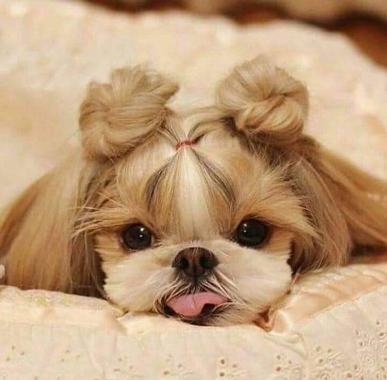 When I say I want a baby, this is what I mean.
