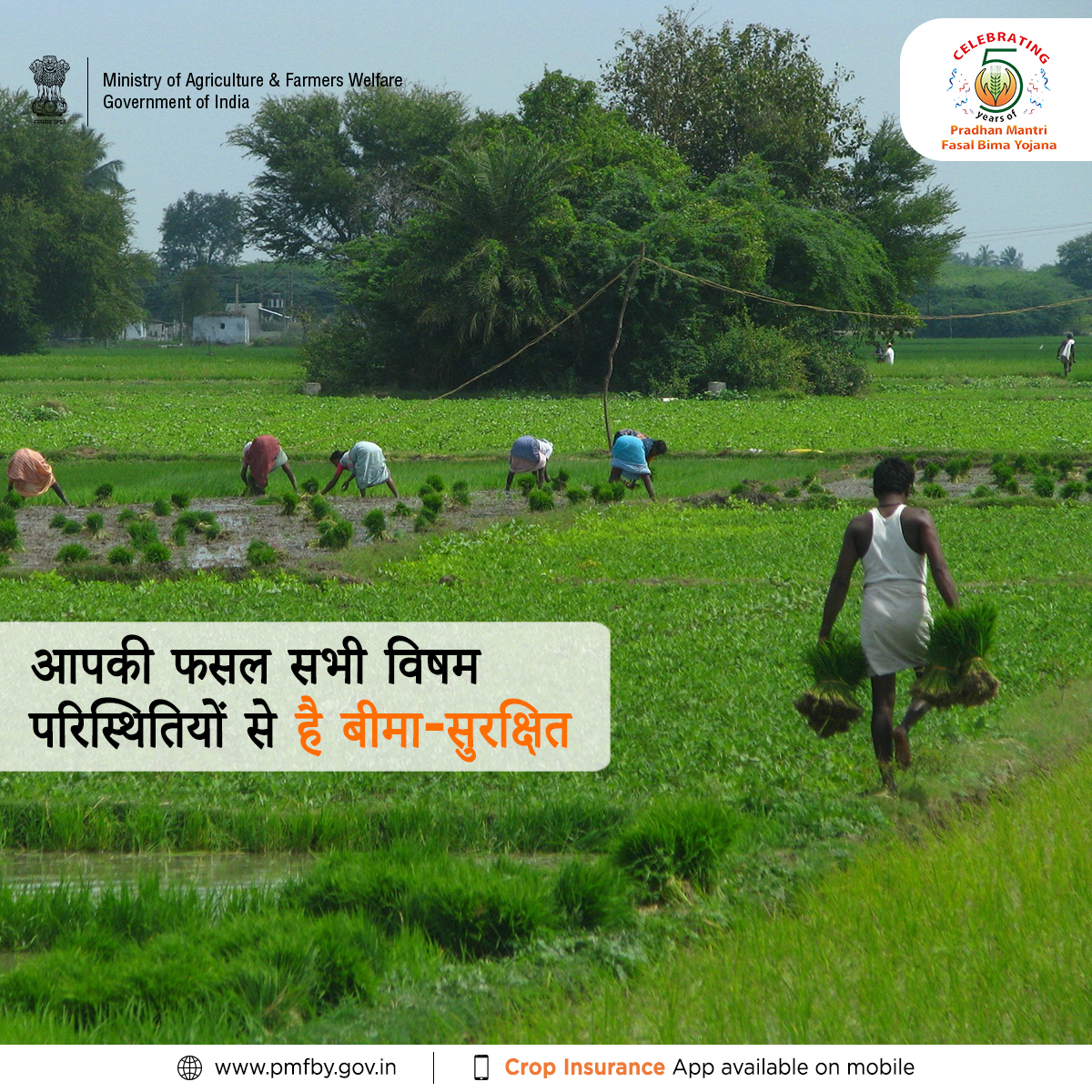 pmfby's tweet photo. प्रधानमंत्री फसल बीमा योजना एक उल्लेखनीय फसल बीमा योजना है, जिसके अंतर्गत प्राकृतिक आपदाओं के कारण होने वाले नुकसान से पूरे फसल चक्र को बीमा-सुरक्षा उपलब्ध करवाई जाती है. सुरक्षित, बीमित और संधारणीय खेती के पाँच सालों का उत्सव! 

#FasalBima4SafalKisan https://t.co/bAVRS2samw