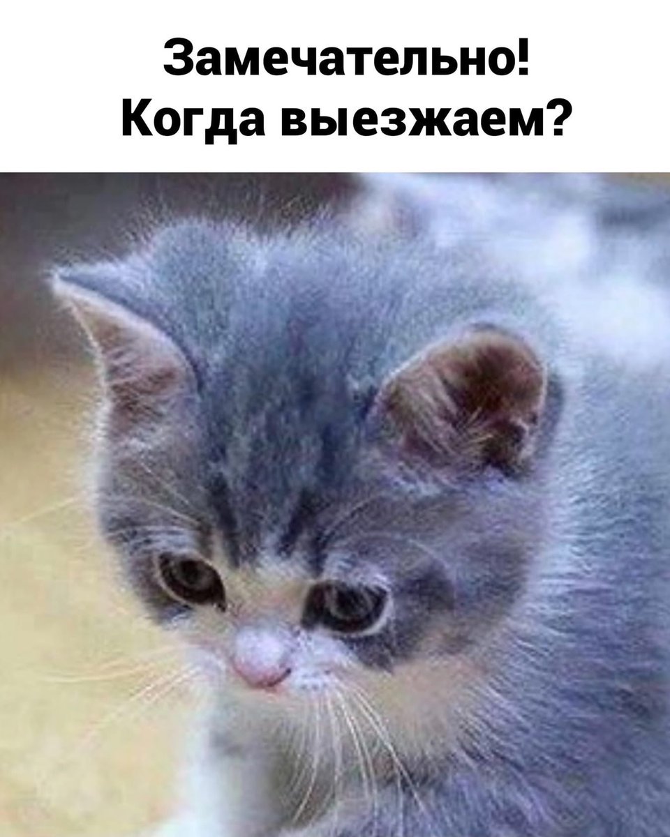 Пьяный Твиттер (@drunktwi) on Twitter photo 