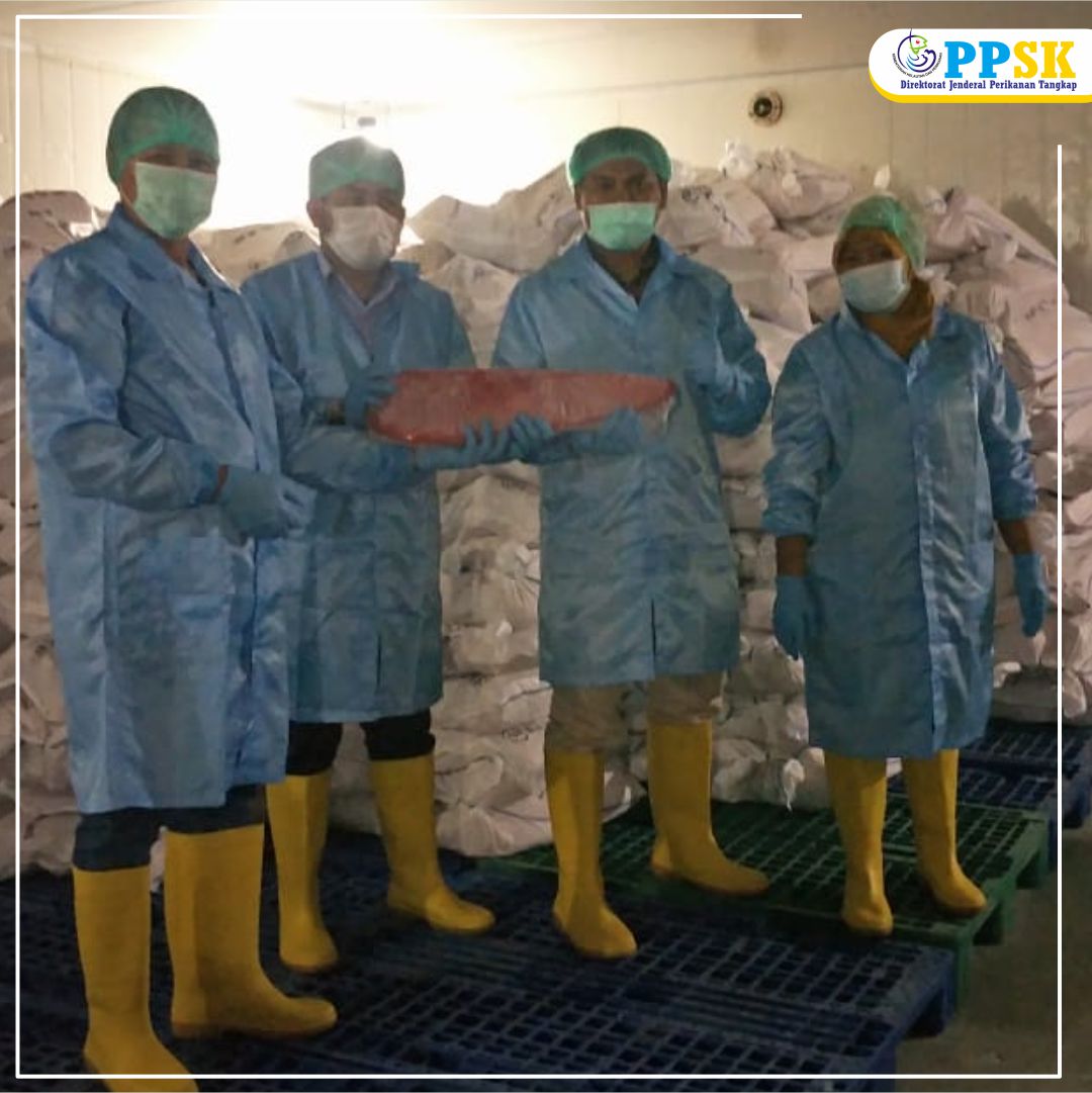 Kegiatan Inspeksi penelusuran produk perikanan di PT. Dharma Samudera F.I oleh Petugas Kesyahbandaran PPS Kendari, Selasa (12/1).
Kegiatan ini untuk menjamin kebenaran produk perikanan yang akan ekspor berdasarkan permohonan yang ada dalam SHTI.
#KKPRebound <a href="/kkpgoid/">KKP RI</a> 
<a href="/djpt_kkp/">Direktorat Jenderal Perikanan Tangkap</a>