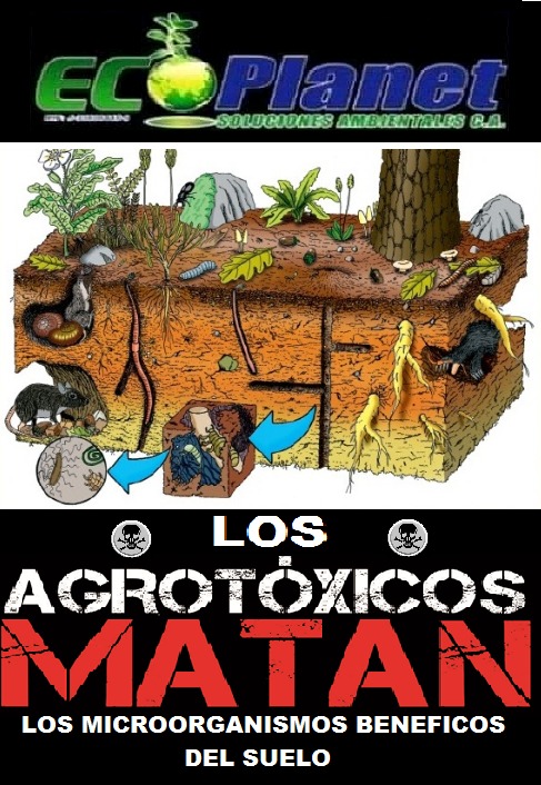 EcoplanetBio's tweet photo. #ECOPLANET🌎♻️✅
El suelo puede ser degradado y la comunidad de organismos que viven en el suelo puede ser aniquilada por el uso de plaguicidas.
El tipo de suelo y el tipo de pesticida pueden afectar la persistencia de los plaguicidas✔
.@HermanPnf
.@AJjnaveda
.@8361f7df4f954b9 https://t.co/zf6K5rF90m