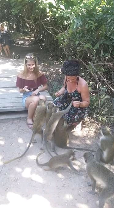 Saffi (@saffi25016785) on Twitter photo 