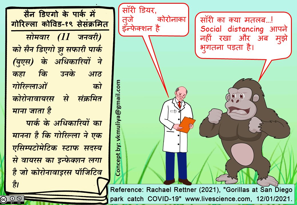 vkmuliya's tweet photo. #Scientoon on Gorilla infected with #Coronavirus that causes #COVID19. https://t.co/mDUH4elPcK