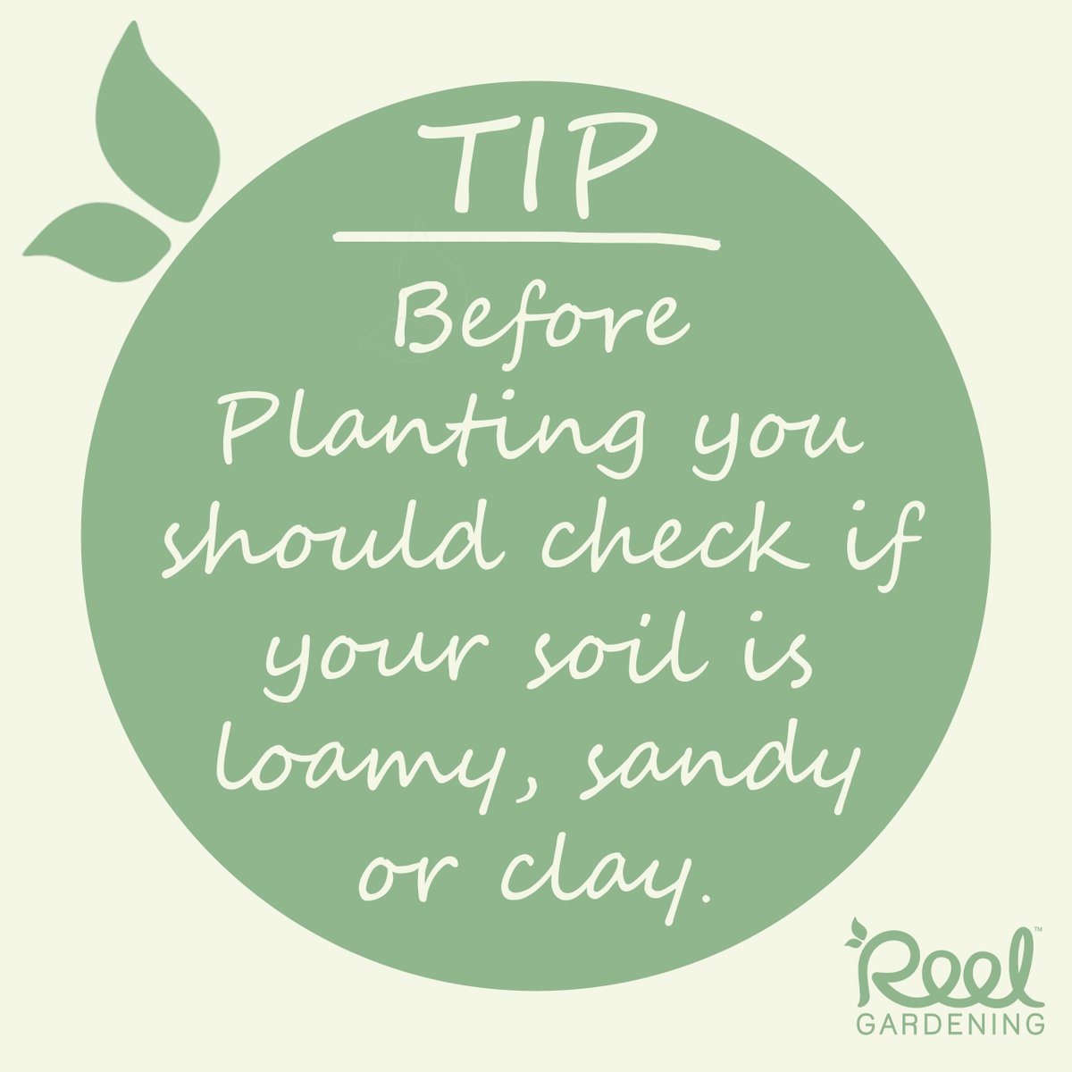 Reel Non Profit Organisation tweet media