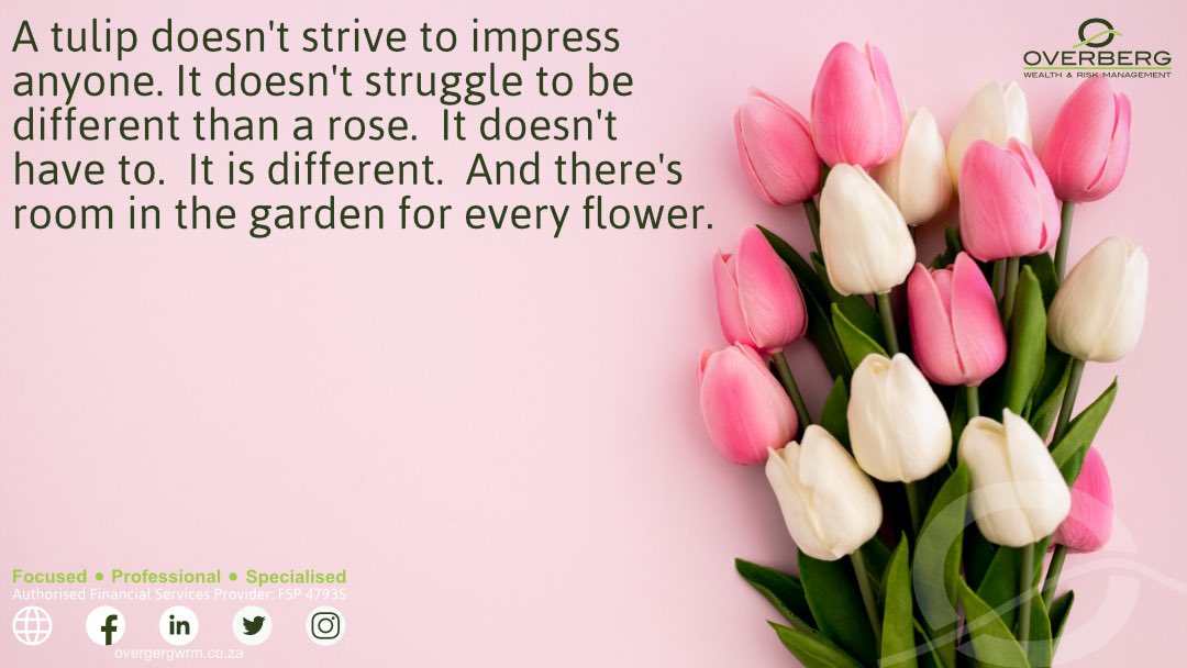 OverbergWRM's tweet photo. Being a unique individual. #motivation #motivationalquotes #tulips #uniqueindividual #roomforeveryone https://t.co/zdYKmt2u4u