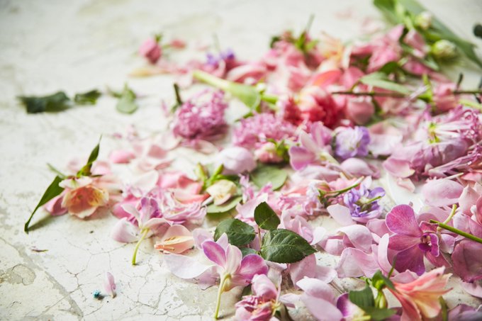 fashionjp's tweet photo. 《開催中》フラワーデザインチーム gui による、廃棄されていく花を使用した展示「色を纏う花展」1月17日（日）まで表参道ROCKETにて開催中。
https://t.co/5JCMiF1TvA https://t.co/HvfBxayE9m