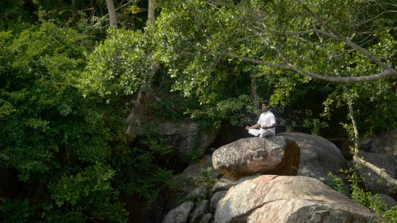 Your brain is involved in everything you do. 
Its health is vital to how you feel, think, age, perform, love, learn and share.
Keep curious, keep expanding and keep developing your own OS!
Mind Your Brain here; bit.ly/RWSS-Wellness-…
#ReconnectWithSixSenses