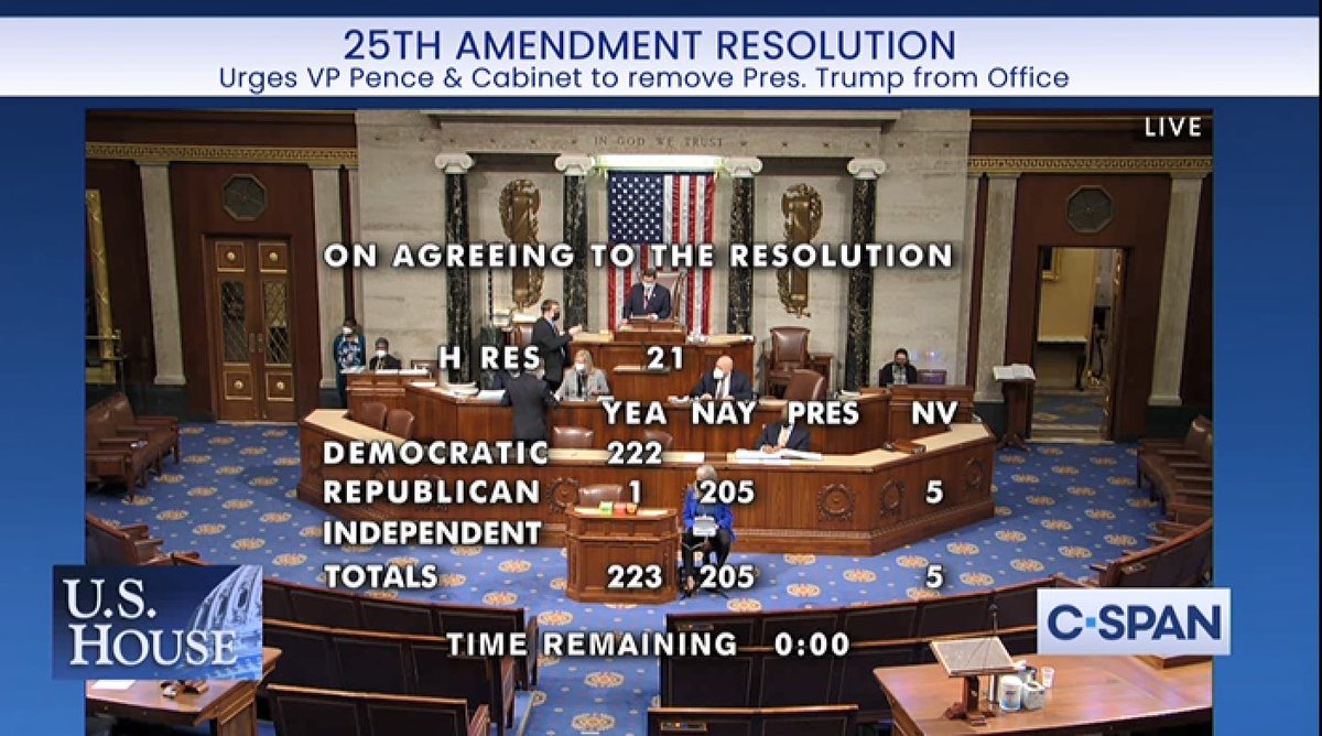 RepRaskin's tweet photo. By a vote of 223-205, the House just passed our 25th Amendment Resolution urging Vice President Pence to convene and mobilize the Cabinet to act on the crisis of President Trump’s incapacity. He is clearly incapable of meeting the duties of his office. https://t.co/JYPYI0hkV5