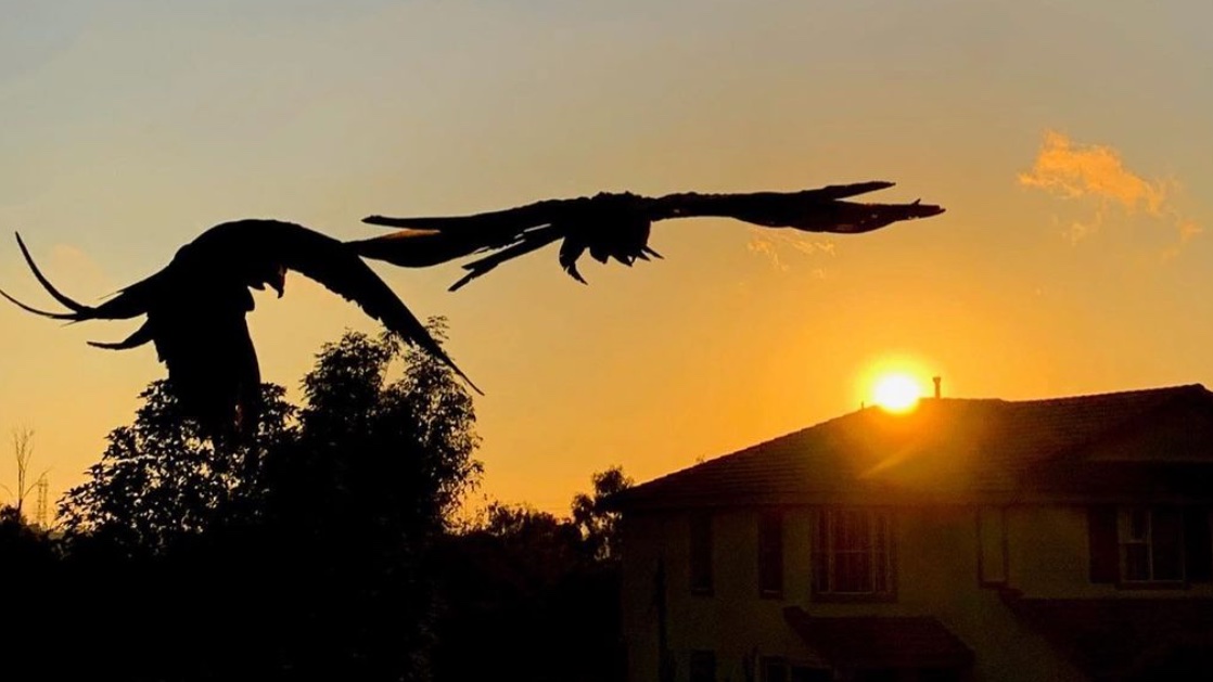 monicas_macaws's tweet photo. If light is in your heart, you will find your way home. ~Rumi 🤍💛🧡 #Carlsbad #SanMarcos #SanDiego #Sunsets #Nature #SunsetQuote #IntoTheSunset #Parrots #California #FridayFeeling #FridayVibes #SunsetPhotography #SunDown #CarlsbadBeach #NaturePhotography https://t.co/r3oU7l1G4Q