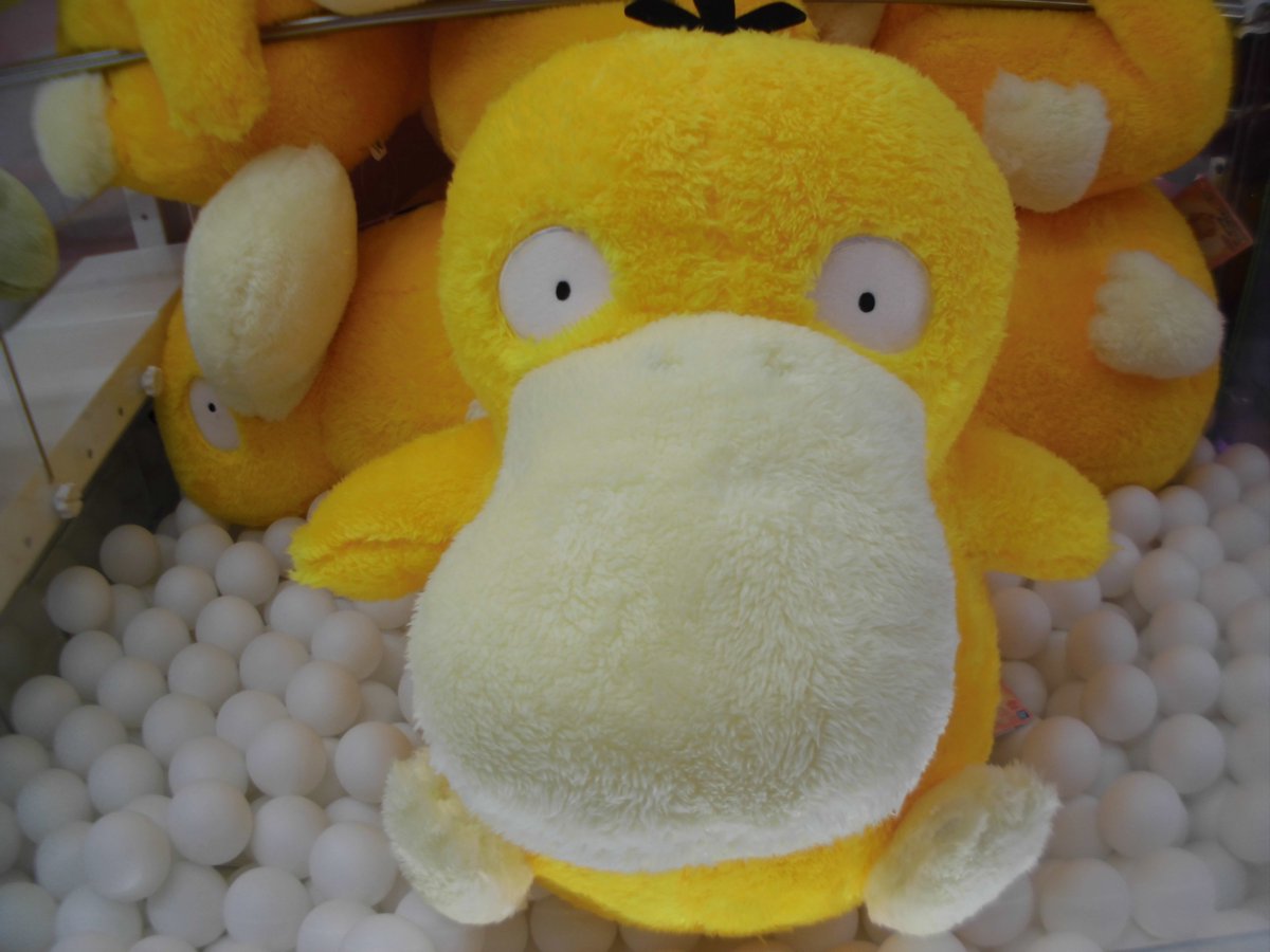 コダックぬいぐるみ