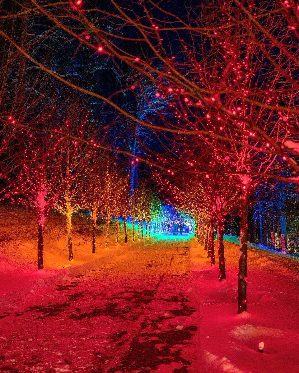 WandererOfWorld's tweet photo. Stockbridge, Massachusetts
@kylefinndempsey
 #wow #wandererofworld #travel #traveltheworld #travelblogger #travelholic #travelaroundtheworld #destination #beautifuldestination #traveldiaries #travelworld #instatravel #travelphotography #travelgram #tourism #traveller #wanderlust https://t.co/tygaSweFeV