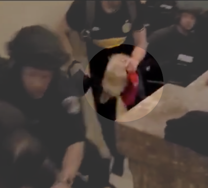 As seen in FBI pics at top of thread, a red brim under  #HelmetBoy's Aviator Hat. Low res pics from video (0:17, 0:48, 0:58). Looks like red MAGA cap? Both hats removed and held while smashing glass with helmet.  #CapitalRiot  #SeditionHunters