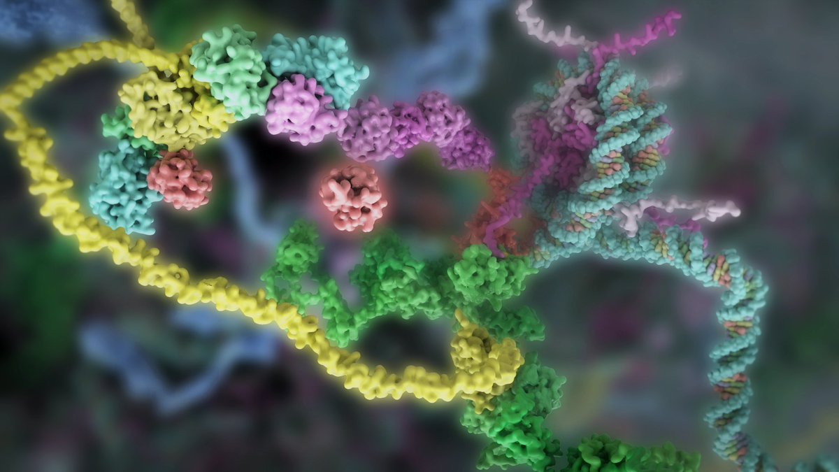 maja_divjak's tweet photo. Hi, I'm a biomedical animator and I create animations of the tiny molecules inside our cells that control processes such as DNA repair and cell growth. 
#PortfolioDay #sciart https://t.co/VvEQiqdKjJ