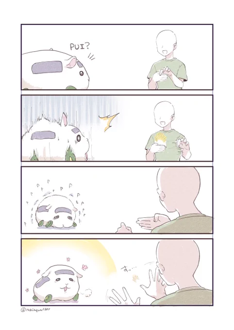 モルカーちゃんにマジックを見せたい 