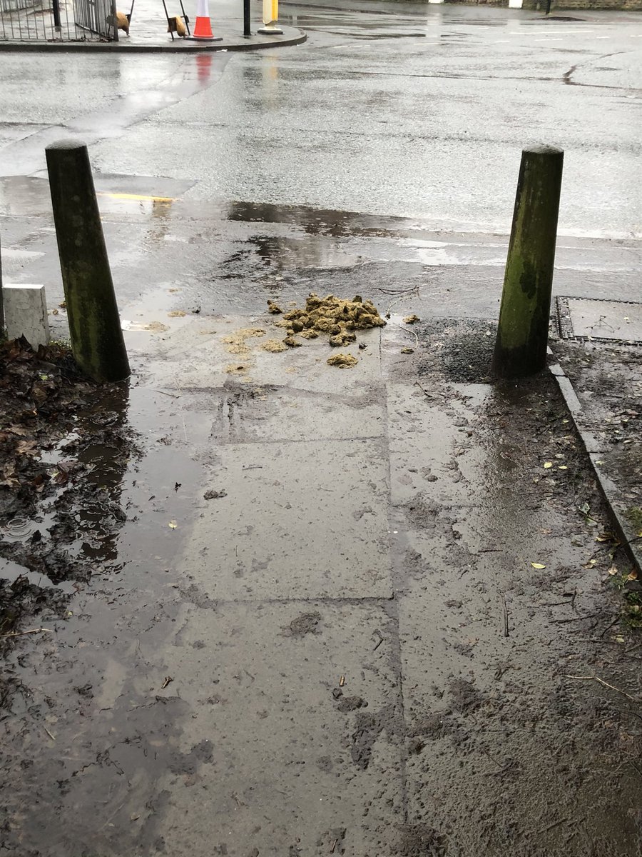 barbaradaykin's tweet photo. @GMPHorses yours perhaps?  Kindly left on the path from Edge Lane to Ivygreen Chorlton. I appreciate you may have been caught short but spare a thought for the many parents with prams and wheelchair users who frequent this path. Dog owners get fined for this. https://t.co/f44kxpN5XC