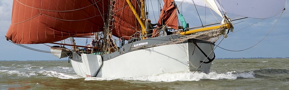 SeaChangeTrust's tweet photo. This year we will be offering a #sailfreight service between the Lower #Thames, #Essex, #Suffolk and #Kent.
Reduce road miles and enhance your #environment, #carbonoffset & #csr. INTERESTED? DM US
#sbbluemermaid #riverthames #fairtransport #sustainability #thamesestuary #eco https://t.co/zNgHFZmWZD