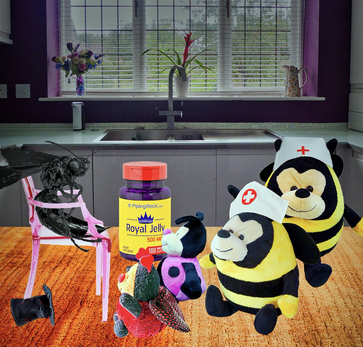 GraemeDawes's tweet image. Uncle Z is being 'Deprogrammed' – I am maintaining a safe distance! 
tinyurl.com/Wilson-the-Ant…

#animalsoffacebook #anteatersofinstagram #internetanimals #cuteanimals #onlineanteaters #anteater #animalsofinstagram #IGanimals #religion #cult #squirrel #deprogram #deprogramme