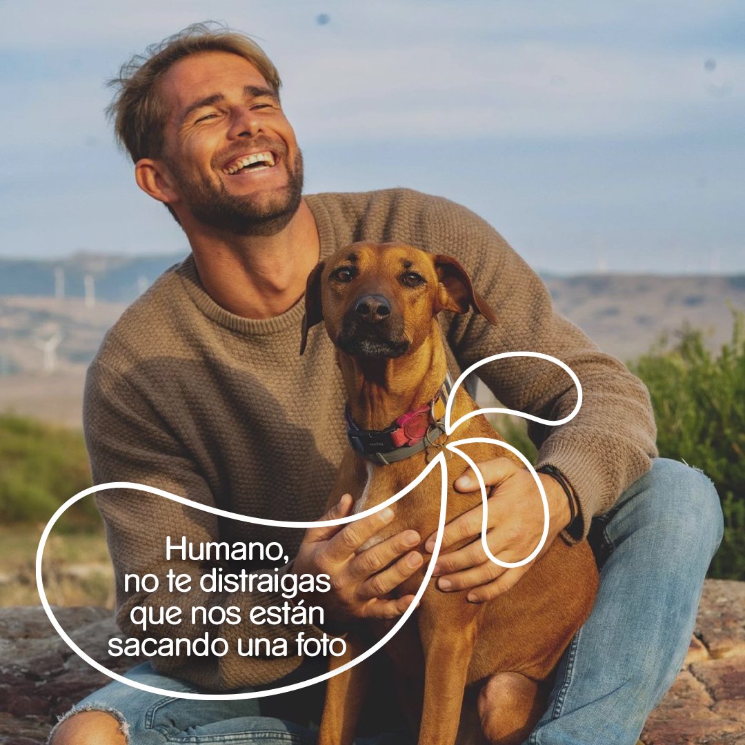 Nuestros perretes nos enseñan a ser mejores en muchas cosas. Por ejemplo, a posar en una foto. 

📸 Instagram: <a href="/jociastula/">Jo Ciastula</a>