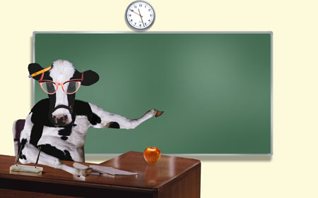 yr2150T's tweet photo. Tag your questions with the #beefylearn hashtag. We will do our best to answer them all! https://t.co/HdXKCPo53X
