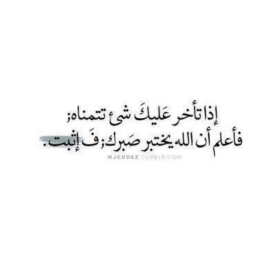 naser58mohammed's tweet photo. 👌👌 https://t.co/osK5qkX3j4