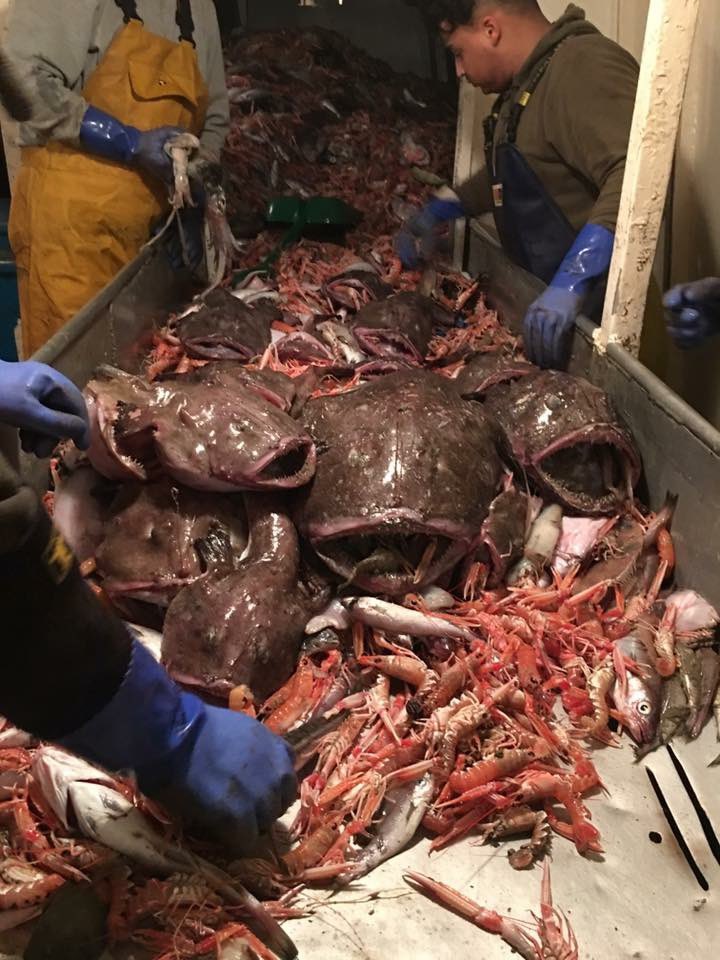 SWFPA's tweet photo. .@BorisJohnson @michaelgove As you watch the carnage taking place in the transport and shipment world, can we have some commitment to financial support.  Unlike Covid this situation is man made; blame rests with government. https://t.co/NCPkCGnlAP