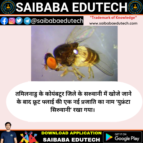 saibabaedutech's tweet photo. 13 January 2021 #TodaysCurrentAffairs
Download Our App: https://t.co/gDyZncDGGd
YouTube: https://t.co/P9D1qIgNcX
Telegram: https://t.co/Z3s8TFRlSt
#SaiBabaInfoTech #SaiBabaInfoTechApp #SaiBabaInfoTechClassesApp #SaiBabaEduTech #SaiBabaEduTechPvtLtd #SaiBabaInfoTechClasses https://t.co/tMRRn5K1Ad