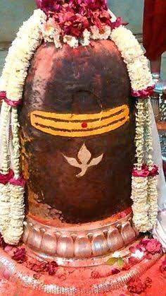 She said that her feet should be on his head. Shiva accepted her prayers. It is because of this Thumba flower is placed in the head of Shiva Linga.Shambo Mahadeva Om Namah Sivaye 