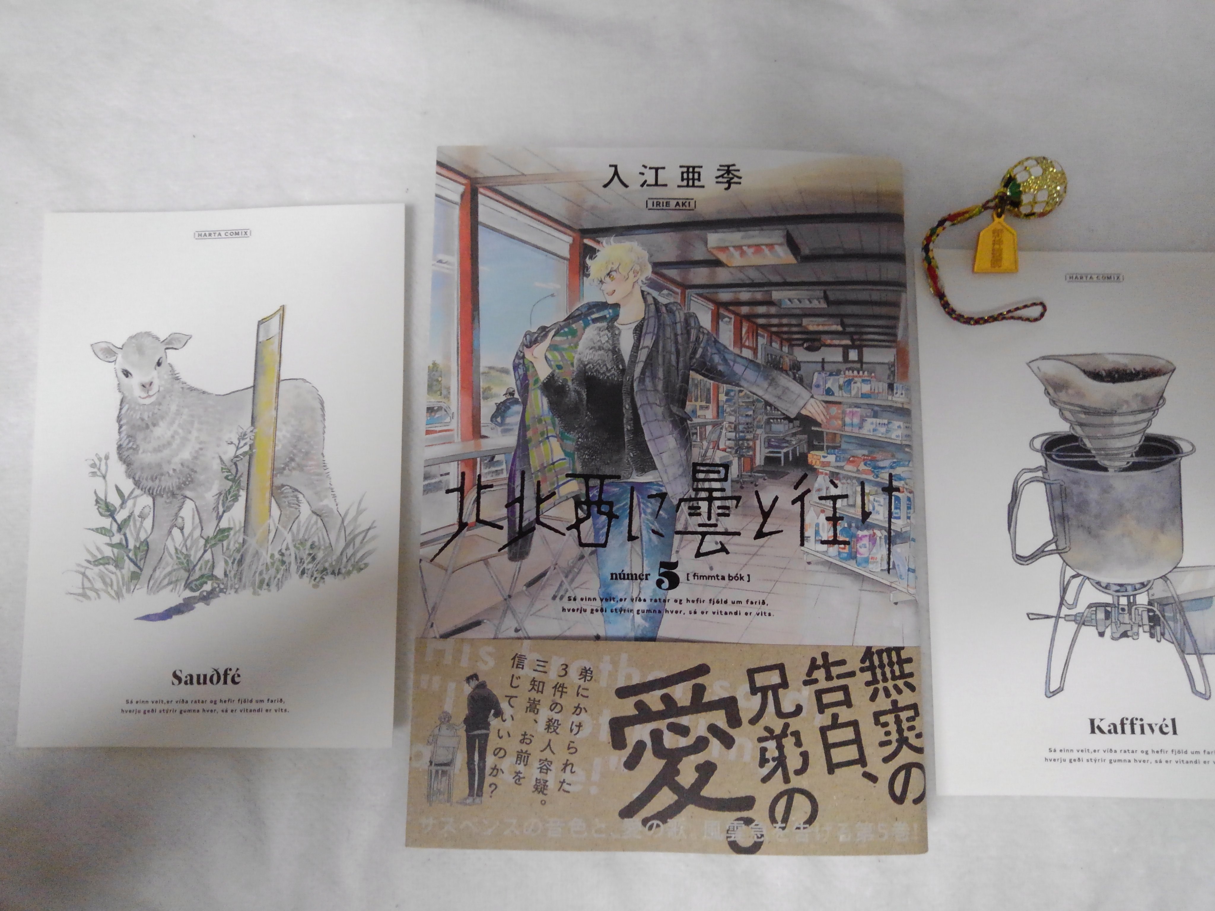 ハルタ 北北西に曇と往け 5巻 書店購入特典 入江亜季さんのイラストがポストカードになりました アイスランドの澄んだ空気と やさしいコーヒーの香りが漂ってくるこの2枚 ぜひ 手に取って堪能してください 一部書店にて配布 なくなり次第