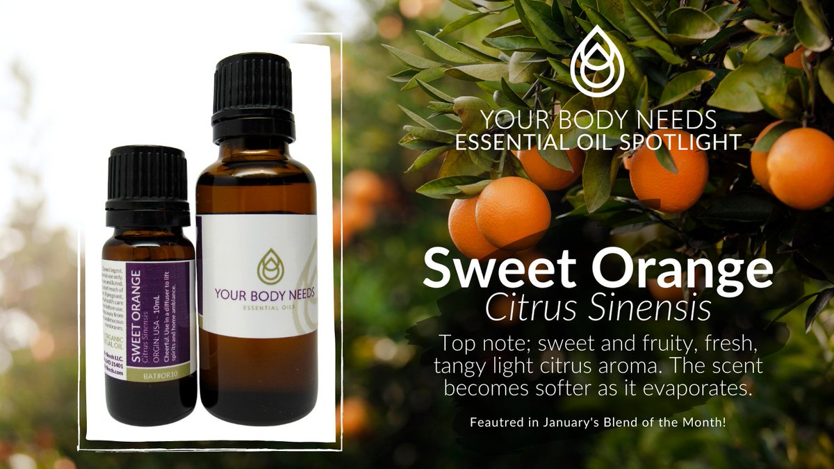 yourbodyneeds's tweet image. Check out January's Essential Oil Spotlight! Sweet Orange is a wonderful oil often diffused to refresh and lift the spirits, it's the perfect fragrance to set the mood for entertaining.

Available in 10 mL and 30 mL bottle!
Get yours today: bit.ly/OrangeYBN