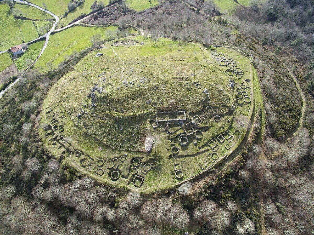 This is the hillfort of Castromao (Celanova,  #Galicia), the former Coeliobriga (celt., 'The fort of the Bold'). An object found here is key to understanding the politics of the hillforts. Other... is just the cutest thing you will see today on twitter. Go!  #HillfortsWednesday