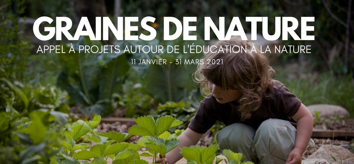 mvtcolibris's tweet image. 🐢La #fabriquedesColibris, @bluebeesfr et Education Plurielles lancent un appel à projet pour soutenir l'#education dans la nature ! 
Si vous avez un projet pédagogique autour de l’environnement, candidatez dès maintenant  :
projets.colibris-lafabrique.org/?GrainesDeNatu…