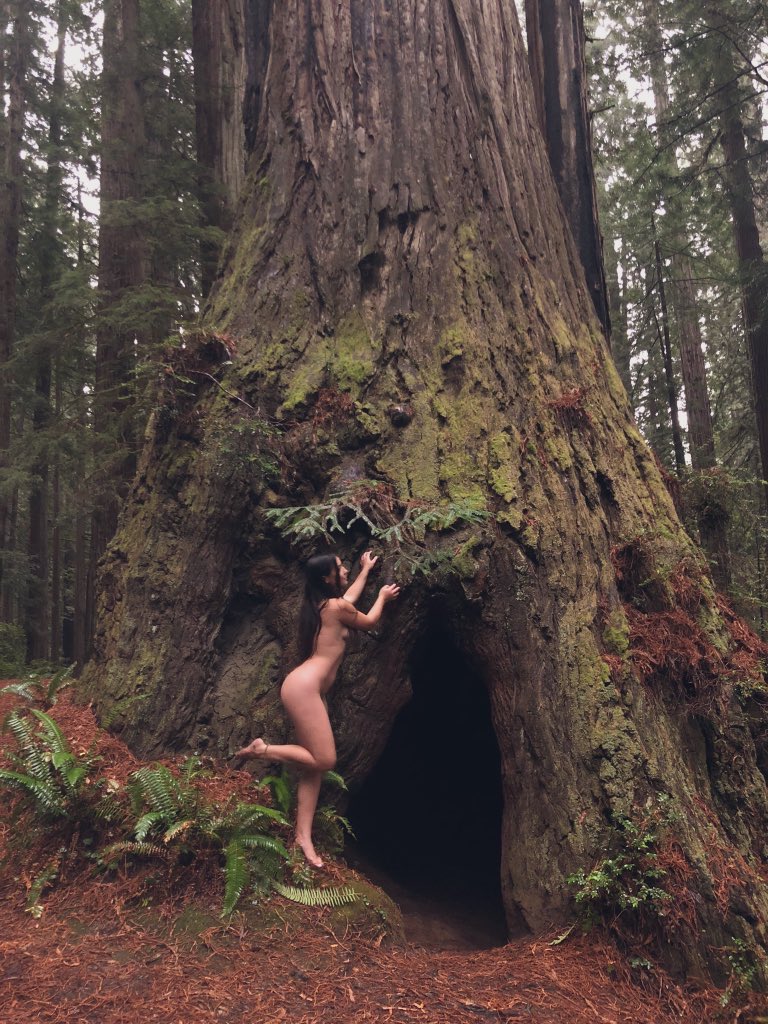 soulofbritt's tweet photo. Oh how I’d love to live among giants 🌿🧚🏻 https://t.co/BWsT53sEK2