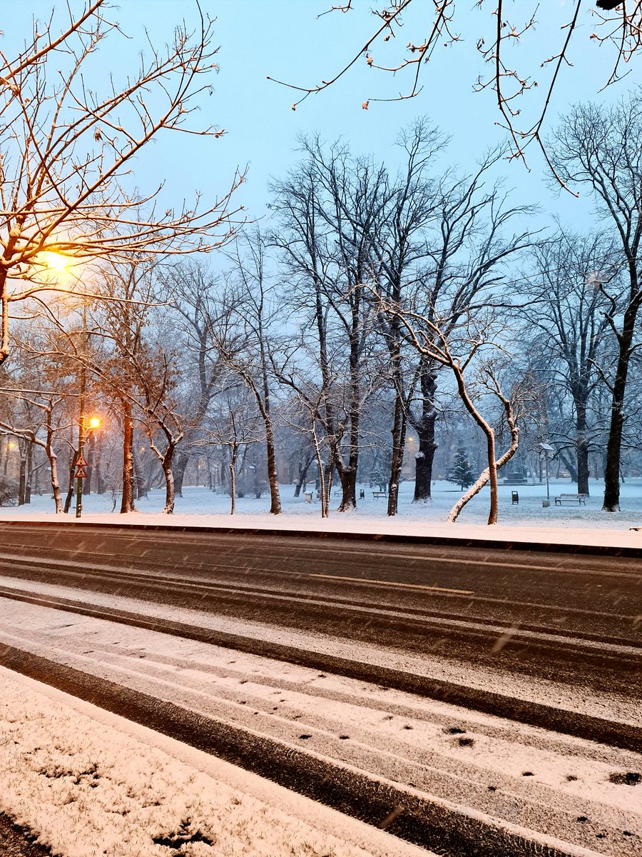 DianaIlea31's tweet photo. Some peace and quiet
#januarymorning #2021year #wintertime #snow #winterscenery #letitsnow #theworldisupsidedown #bekind #BeBetter
#staysafe https://t.co/arfZ0HQaG4 https://t.co/RDAmes0H0B